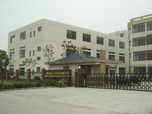 正大企業大學